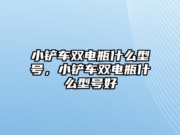 小鏟車雙電瓶什么型號，小鏟車雙電瓶什么型號好