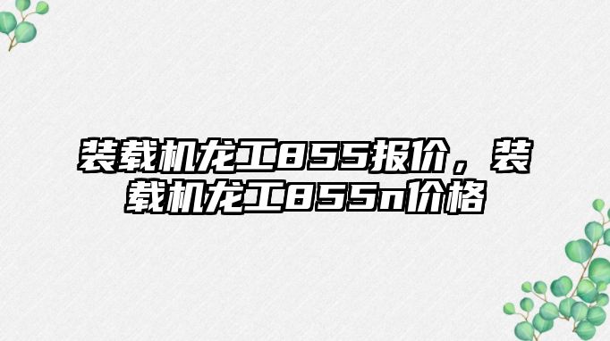 裝載機龍工855報價，裝載機龍工855n價格