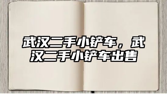 武漢二手小鏟車，武漢二手小鏟車出售