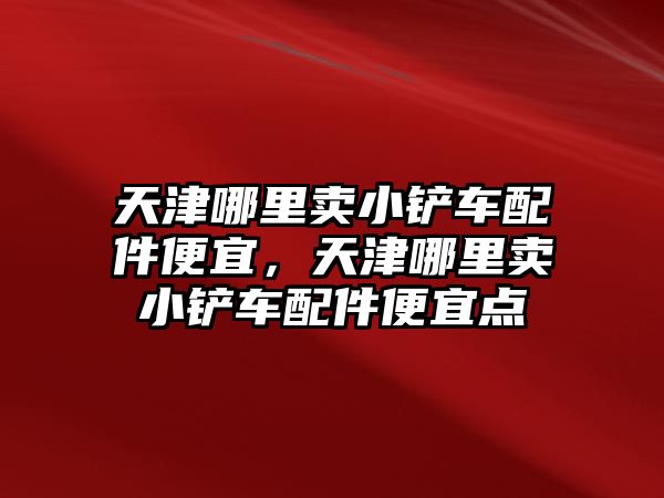 天津哪里賣小鏟車配件便宜，天津哪里賣小鏟車配件便宜點