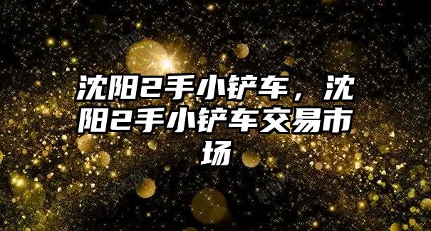 沈陽2手小鏟車，沈陽2手小鏟車交易市場