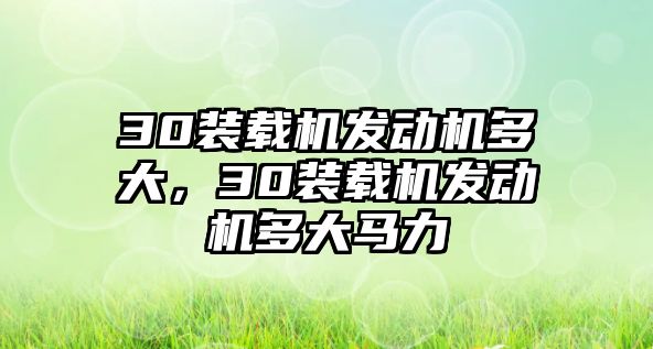 30裝載機發動機多大，30裝載機發動機多大馬力