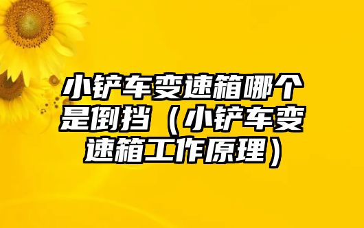 小鏟車變速箱哪個是倒擋（小鏟車變速箱工作原理）