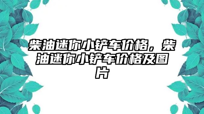 柴油迷你小鏟車價格，柴油迷你小鏟車價格及圖片