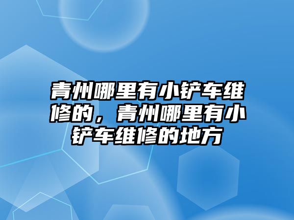 青州哪里有小鏟車維修的，青州哪里有小鏟車維修的地方