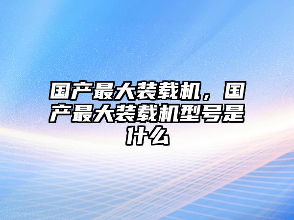 國產最大裝載機，國產最大裝載機型號是什么