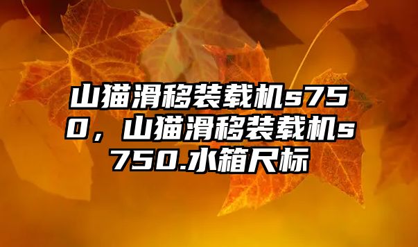 山貓滑移裝載機s750，山貓滑移裝載機s750.水箱尺標