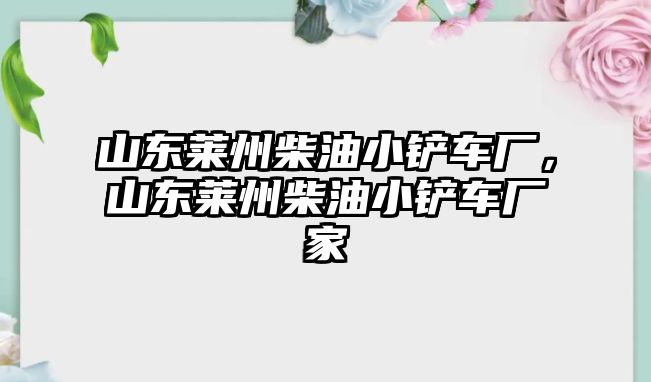 山東萊州柴油小鏟車廠，山東萊州柴油小鏟車廠家