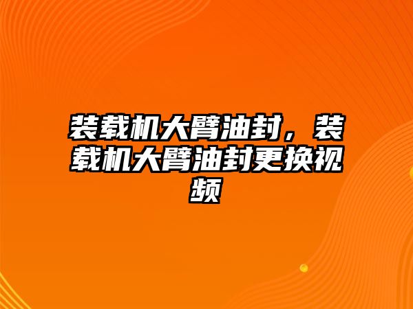 裝載機大臂油封，裝載機大臂油封更換視頻