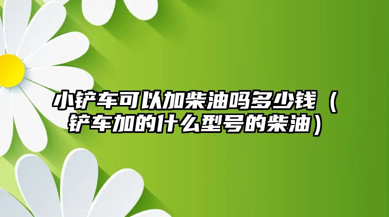 小鏟車可以加柴油嗎多少錢（鏟車加的什么型號的柴油）