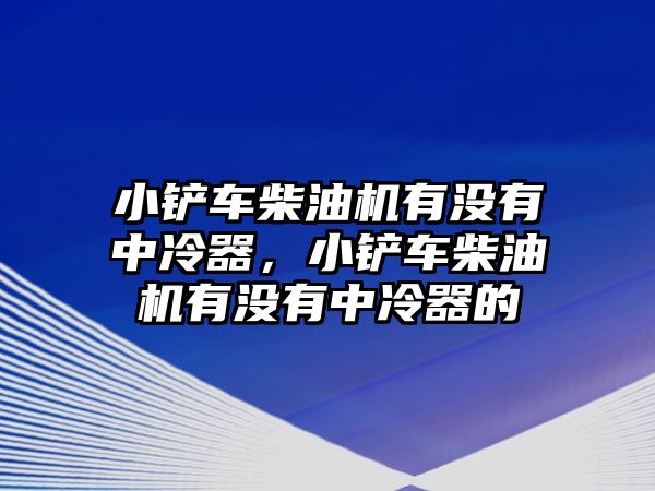 小鏟車柴油機有沒有中冷器，小鏟車柴油機有沒有中冷器的