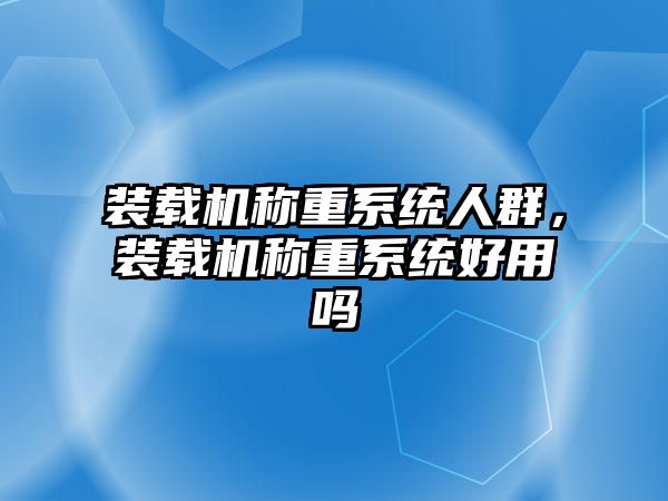 裝載機稱重系統人群，裝載機稱重系統好用嗎