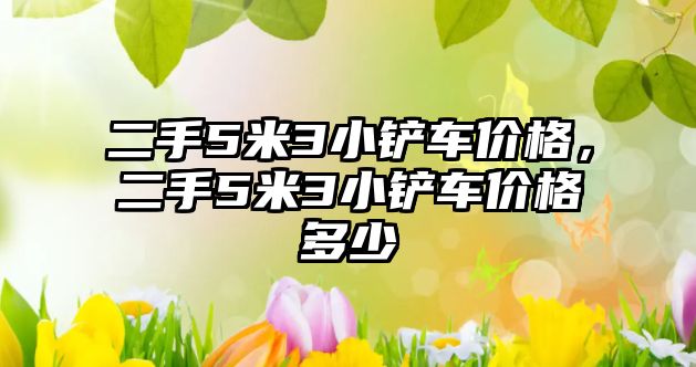 二手5米3小鏟車價格，二手5米3小鏟車價格多少