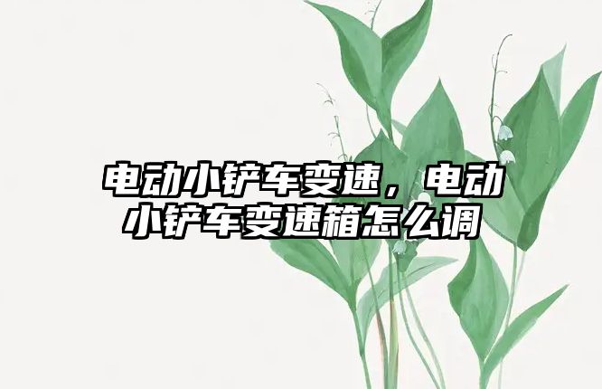 電動小鏟車變速，電動小鏟車變速箱怎么調