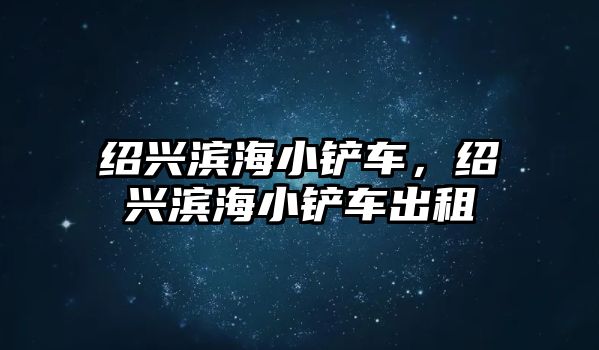 紹興濱海小鏟車，紹興濱海小鏟車出租