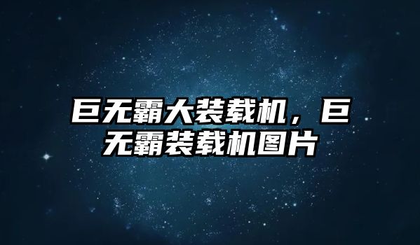 巨無霸大裝載機，巨無霸裝載機圖片