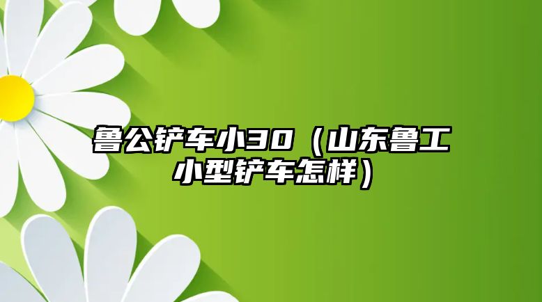 魯公鏟車小30（山東魯工小型鏟車怎樣）