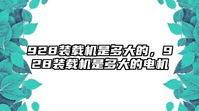 928裝載機是多大的，928裝載機是多大的電機