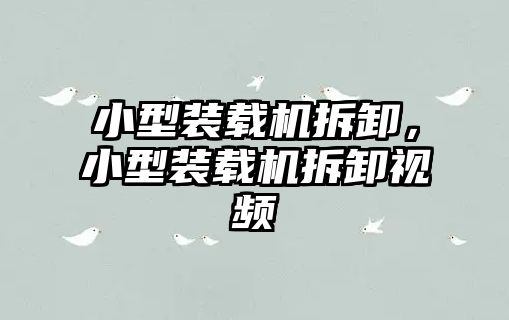 小型裝載機拆卸，小型裝載機拆卸視頻