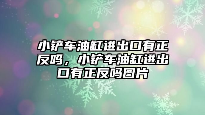 小鏟車油缸進出口有正反嗎，小鏟車油缸進出口有正反嗎圖片