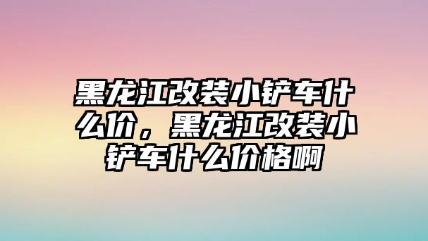 黑龍江改裝小鏟車什么價，黑龍江改裝小鏟車什么價格啊