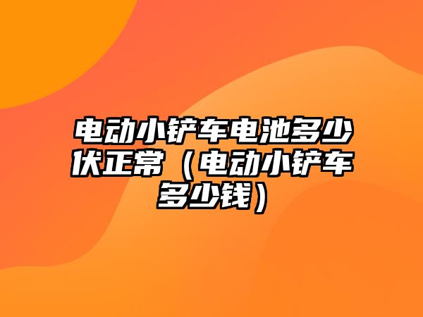 電動小鏟車電池多少伏正常（電動小鏟車多少錢）