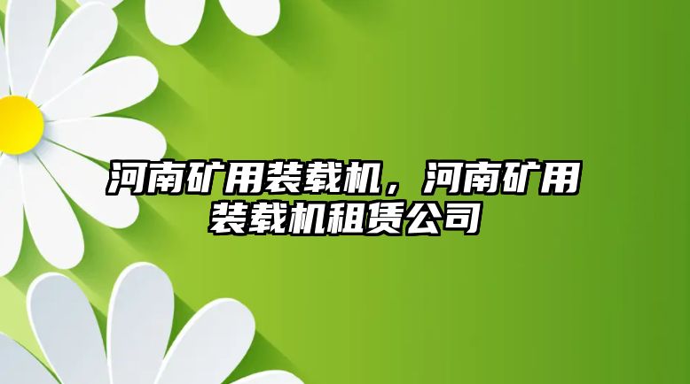 河南礦用裝載機，河南礦用裝載機租賃公司