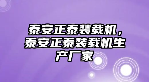 泰安正泰裝載機，泰安正泰裝載機生產(chǎn)廠家