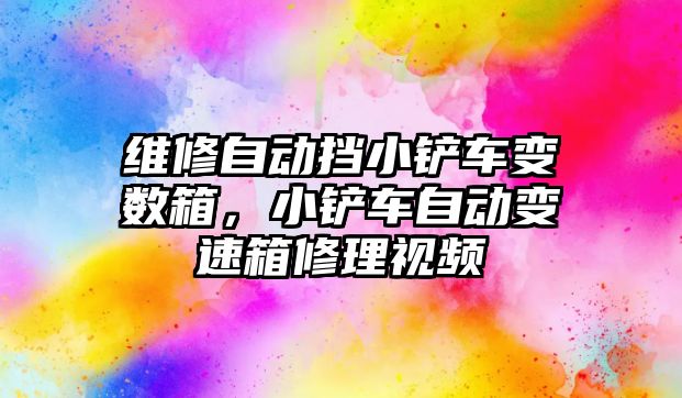 維修自動擋小鏟車變數箱，小鏟車自動變速箱修理視頻