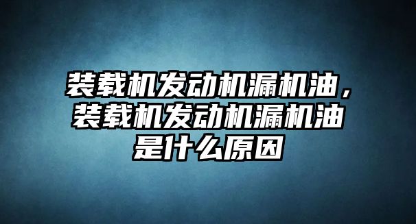 裝載機發動機漏機油，裝載機發動機漏機油是什么原因