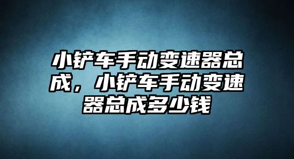 小鏟車手動變速器總成，小鏟車手動變速器總成多少錢