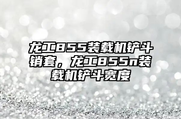 龍工855裝載機鏟斗銷套，龍工855n裝載機鏟斗寬度