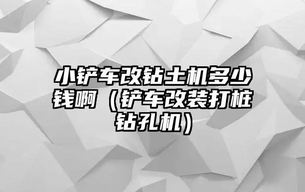 小鏟車改鉆土機多少錢啊（鏟車改裝打樁鉆孔機）