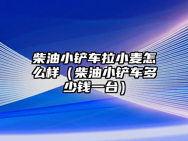 柴油小鏟車?yán)←溤趺礃樱ú裼托＄P車多少錢一臺）