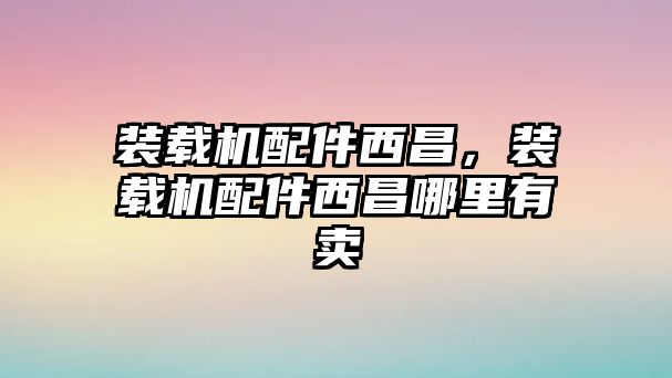 裝載機配件西昌，裝載機配件西昌哪里有賣