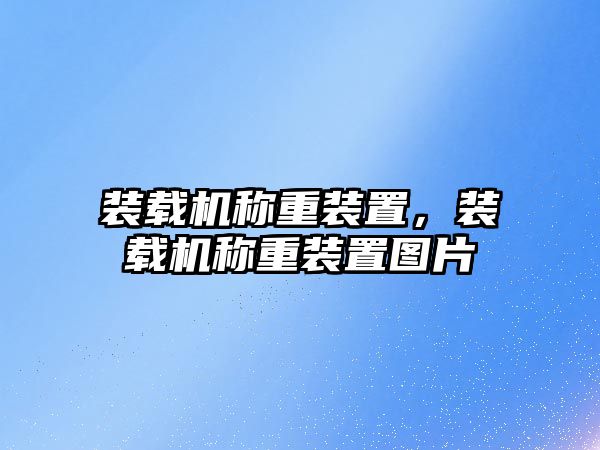 裝載機稱重裝置，裝載機稱重裝置圖片