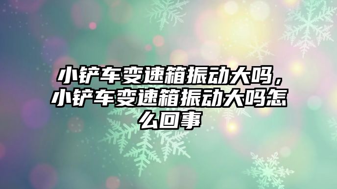 小鏟車變速箱振動大嗎，小鏟車變速箱振動大嗎怎么回事