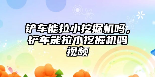 鏟車能拉小挖掘機嗎，鏟車能拉小挖掘機嗎視頻