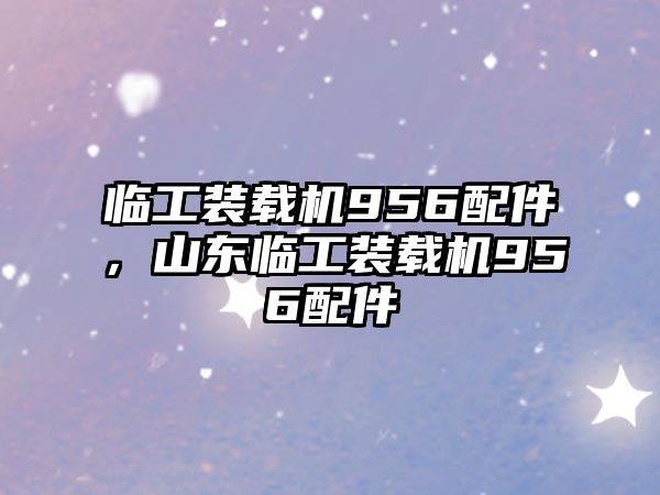 臨工裝載機956配件，山東臨工裝載機956配件