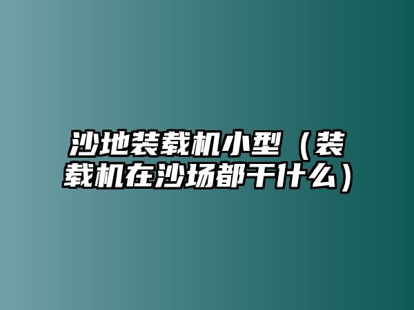 沙地裝載機(jī)小型（裝載機(jī)在沙場(chǎng)都干什么）