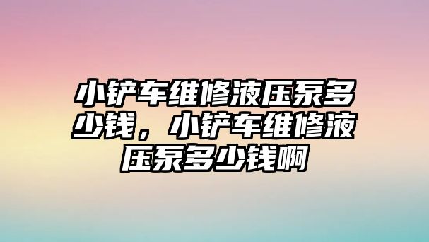 小鏟車維修液壓泵多少錢，小鏟車維修液壓泵多少錢啊