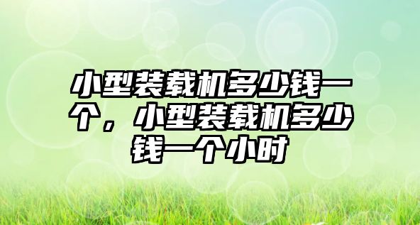 小型裝載機多少錢一個，小型裝載機多少錢一個小時