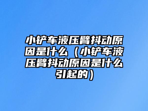 小鏟車液壓臂抖動原因是什么（小鏟車液壓臂抖動原因是什么引起的）