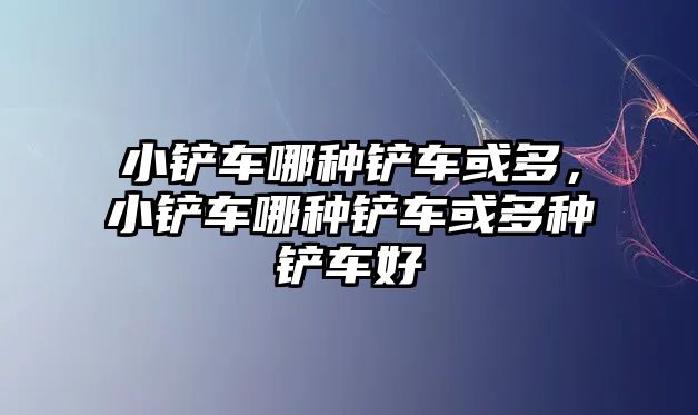 小鏟車哪種鏟車或多，小鏟車哪種鏟車或多種鏟車好