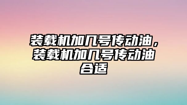 裝載機加幾號傳動油，裝載機加幾號傳動油合適