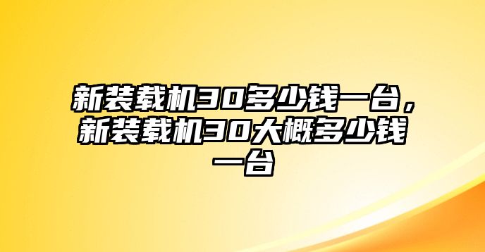 新裝載機30多少錢一臺，新裝載機30大概多少錢一臺