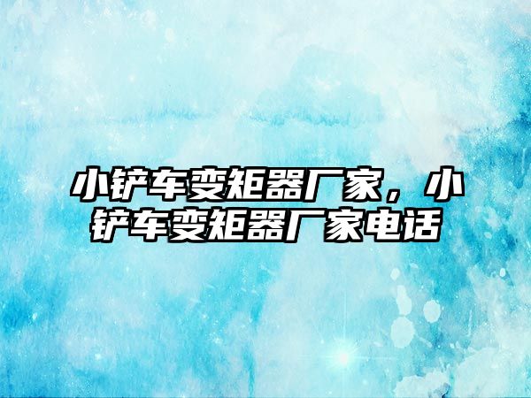 小鏟車變矩器廠家，小鏟車變矩器廠家電話