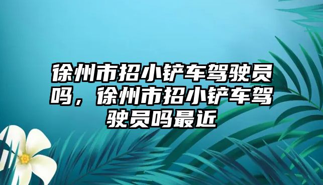 徐州市招小鏟車(chē)駕駛員嗎，徐州市招小鏟車(chē)駕駛員嗎最近