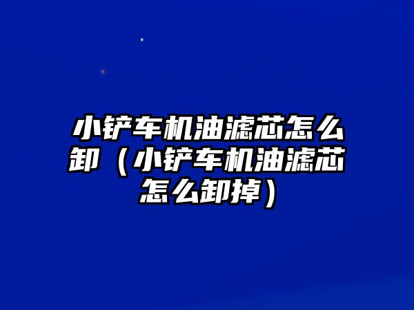 小鏟車機油濾芯怎么卸（小鏟車機油濾芯怎么卸掉）