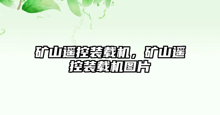 礦山遙控裝載機，礦山遙控裝載機圖片